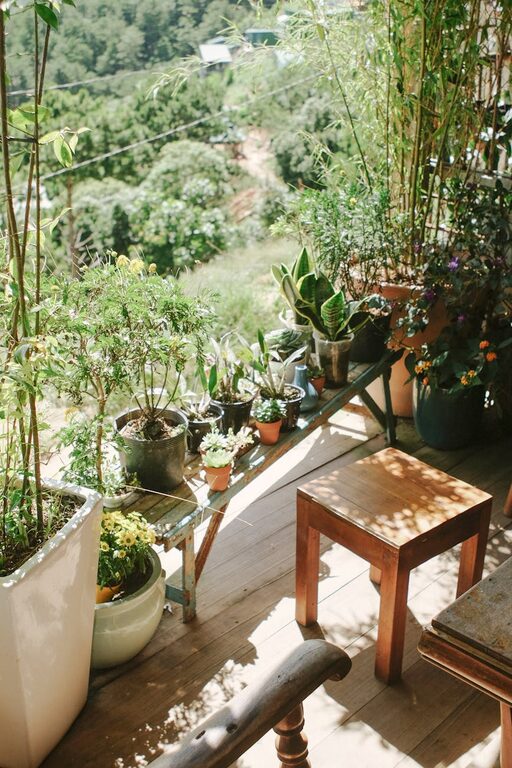 Tips for Creating a Beautiful and Functional Small Garden Space at Home